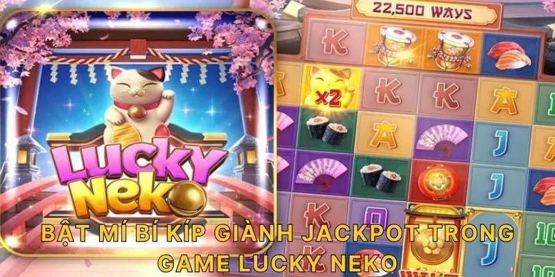 Bật mí bí kíp giành jackpot trong game Lucky Neko