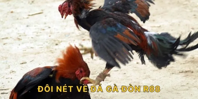 Đôi nét về đá gà đòn R88