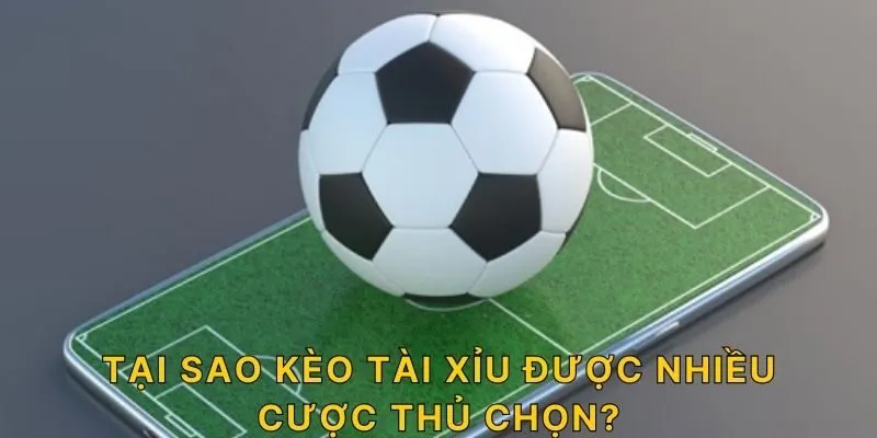 Tại sao kèo tài xỉu được nhiều cược thủ chọn?